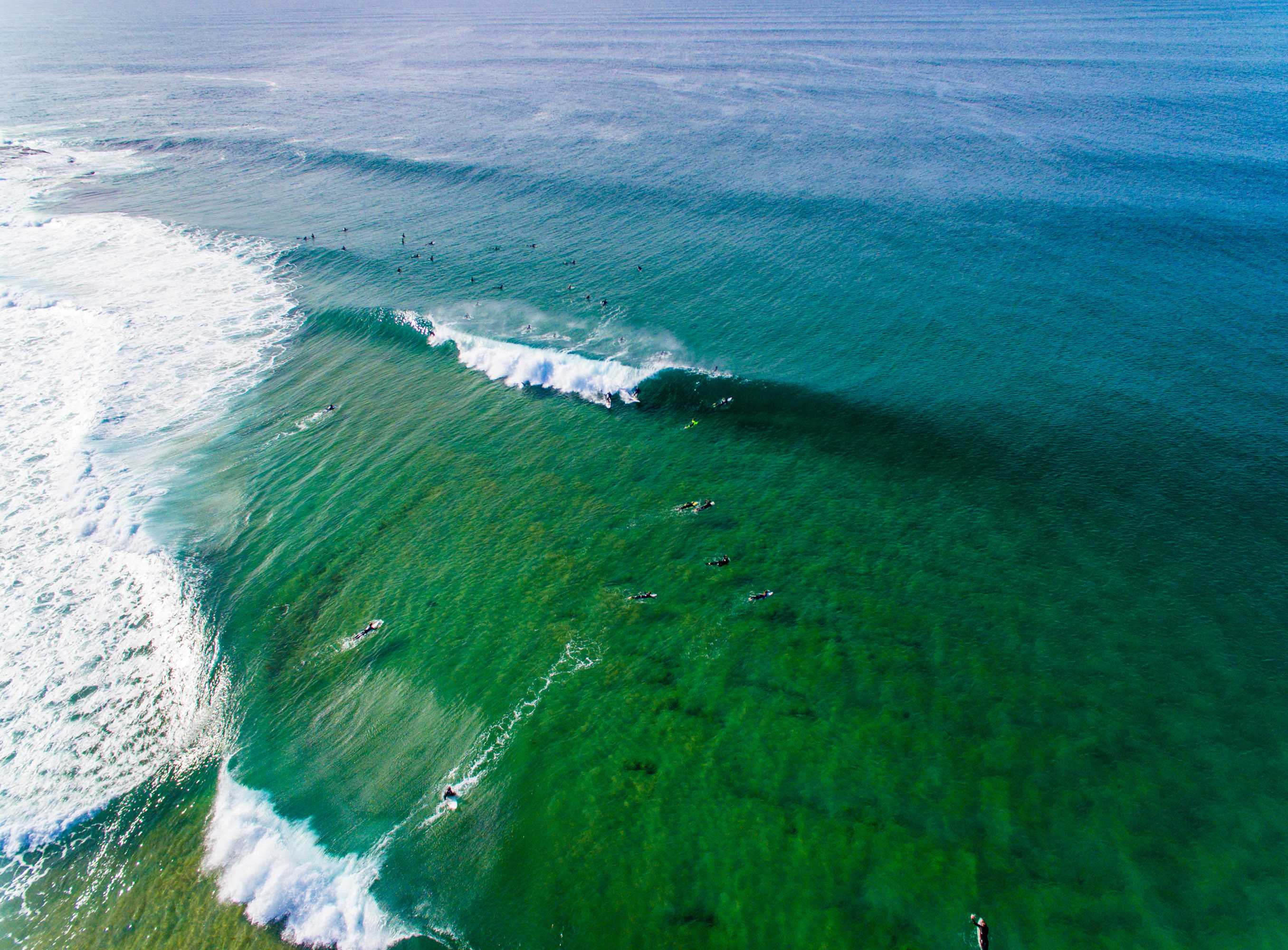 Sydney surfing day of the year cover image