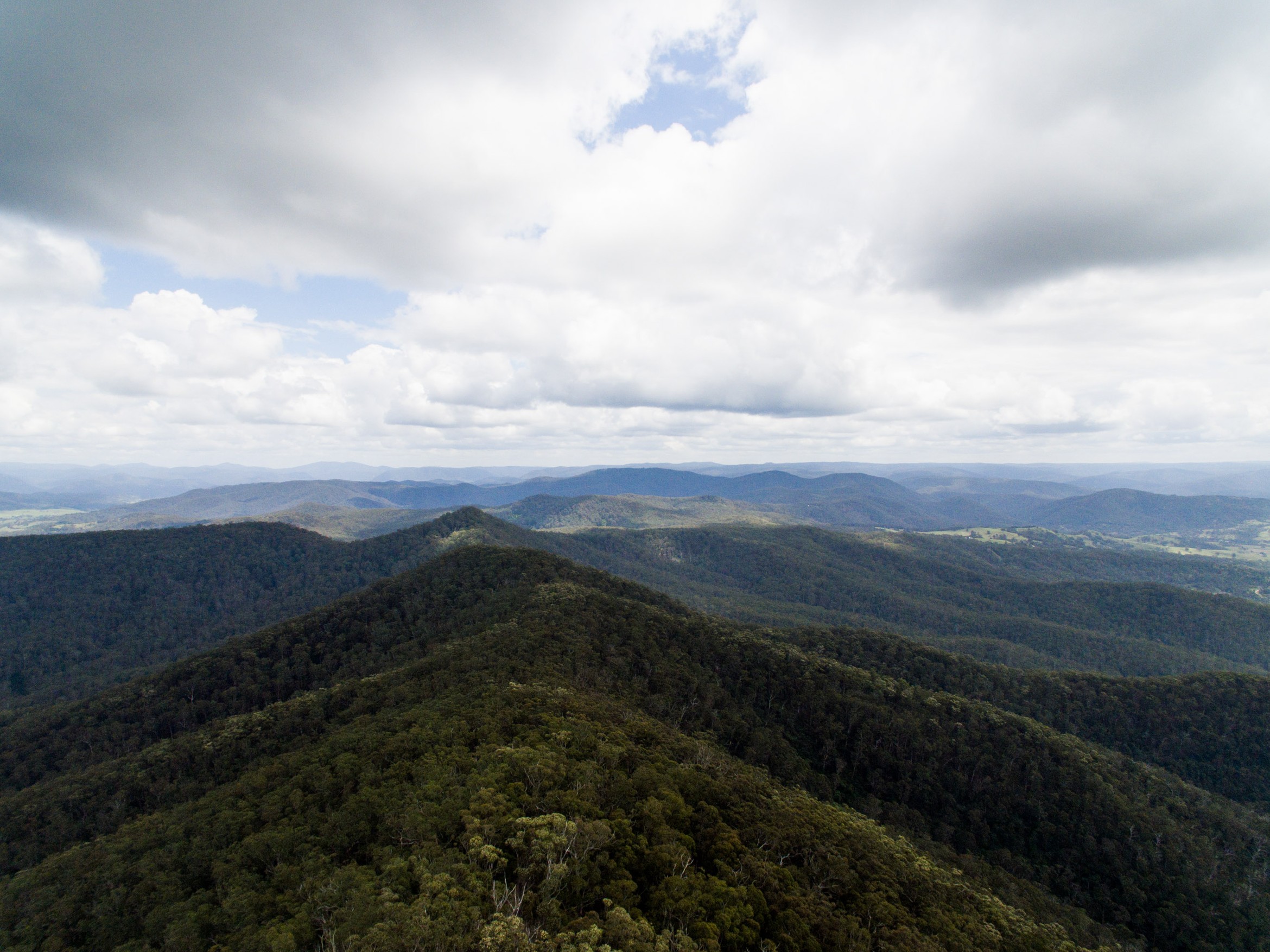 Wolumla peak