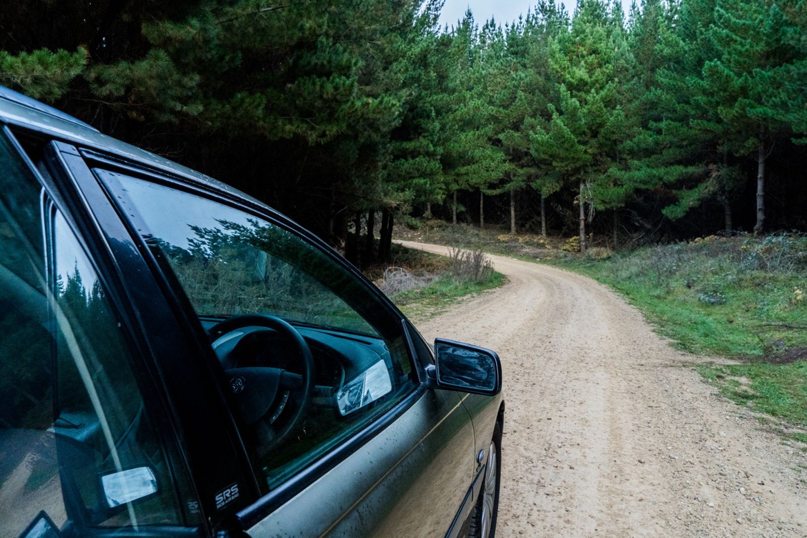 Driving never gets boring when you're going through forests like these!